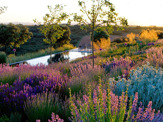 Jardines exuberantes… de bajo riego (2ª parte)